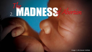 2. The Madness of Abortion