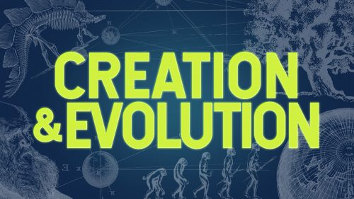Creation and Evolution Program