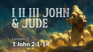 1,2,3 John and Jude: Lesson 3 (1John 2:1-14)