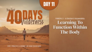 Day 11: Learning to Function Within the Body | Your First Forty Days in the Wilderness