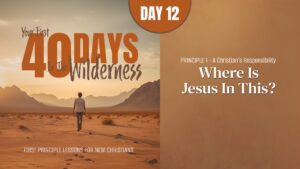 Day 12: Where Is Jesus in This? | Your First Forty Days in the Wilderness