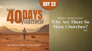 Day 23: Why Are There So Many Churches? (Part 1) | Your First Forty Days in the Wilderness