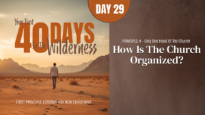 Day 29: How Is the Church Organized? | Your First Forty Days in the Wilderness