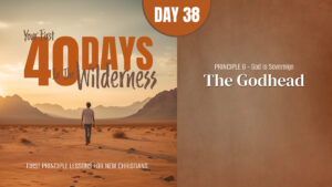 Day 38: The Godhead | Your First Forty Days in the Wilderness