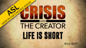 Life is Short | Crisis and the Creator (ASL)