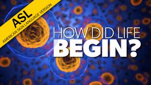 How Did Life Begin? | Proof for God (ASL)