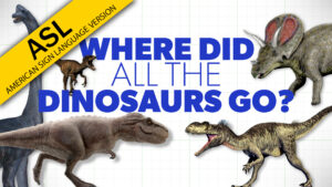 Where Did All the Dinosaurs Go? (ASL)