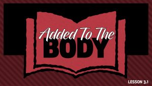 Additional Study 1: Added to the Body | Back to the Bible