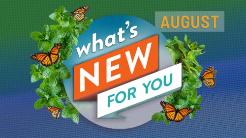 What's New for You
