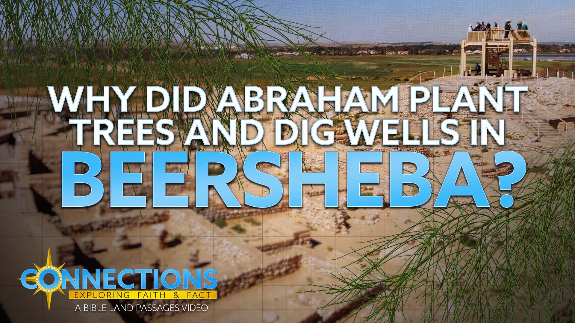 Why Did Abraham Plant Trees and Dig Wells in Beersheba? | BLP Connections:  Beersheba