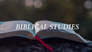 Category-Biblical-Studies