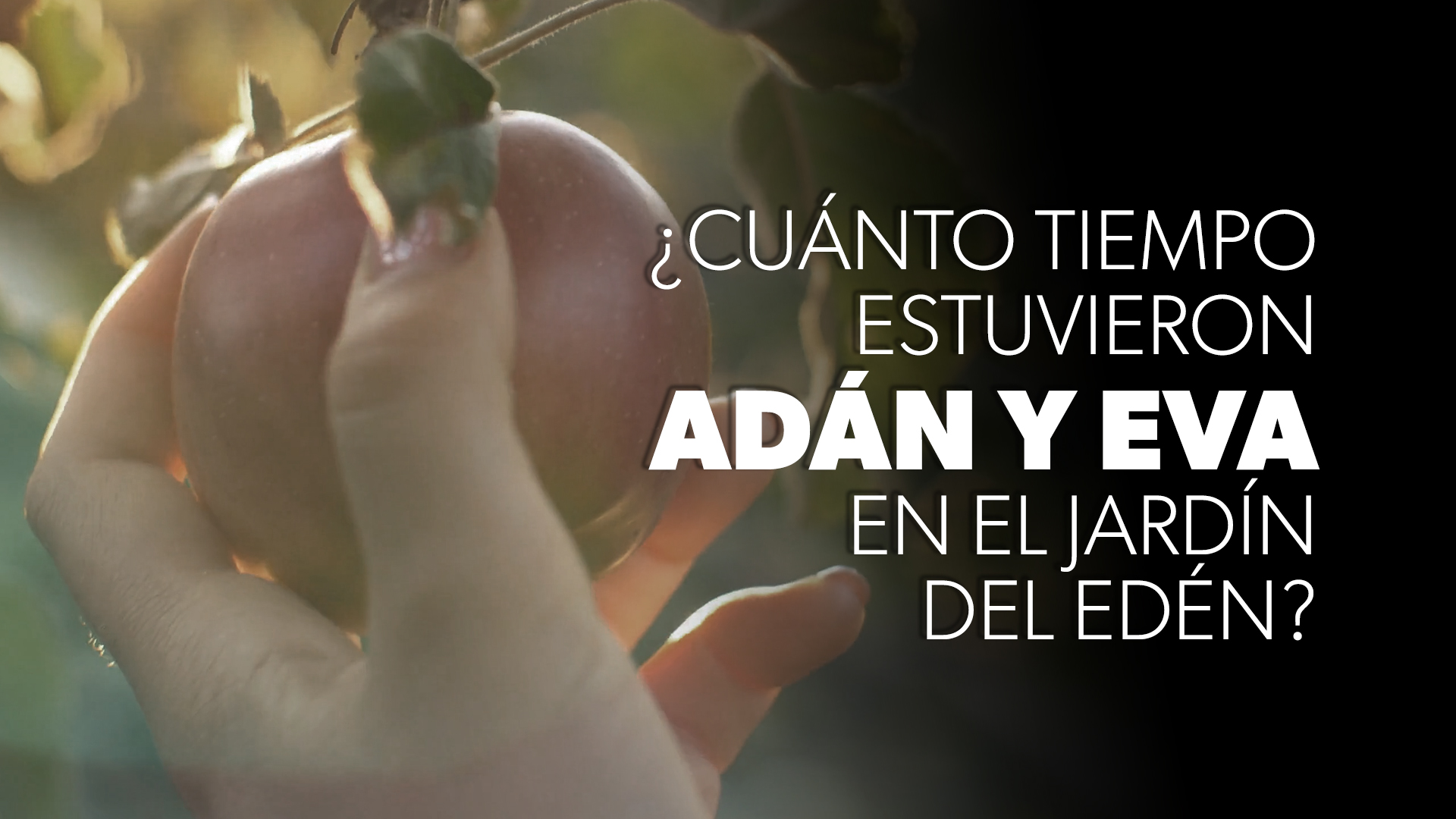 ¿Cuánto Tiempo Estuvieron Adán y Eva en el Jardín del Edén? | Preguntas  Sobre La Creación (How Long Were Adam and Eve in the Garden of Eden)