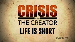 Life Is Short | Crisis and the Creator