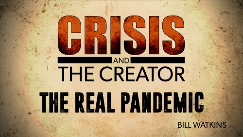 The Real Pandemic | Crisis and the Creator