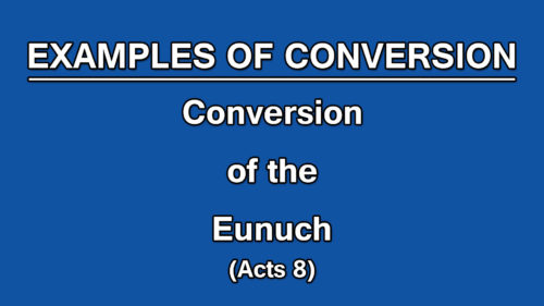 3. Conversion of the Eunuch (Acts 8) | Examples of Conversion | WVBS Online Video