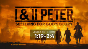 1 and 2 Peter: Lesson 14