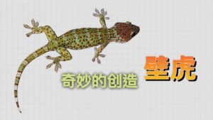 Geckos | Wonders of Creation (Chinese Voice Over)