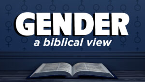 Gender: A Biblical View