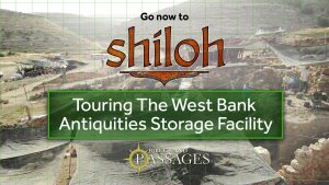 Bonus: Touring the West Bank Antiquities Storage Facility