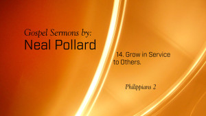 14. Grow in Service to Others