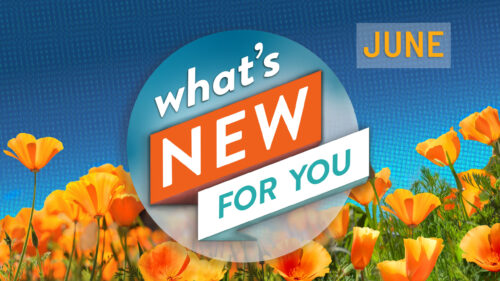 What's New for You