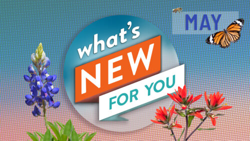 What's New for You
