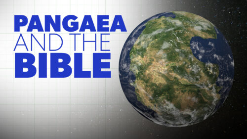 Pangaea and the Bible