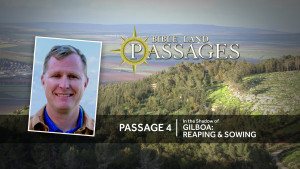 Passage 4 | In the Shadow of Gilboa: Reaping & Sowing