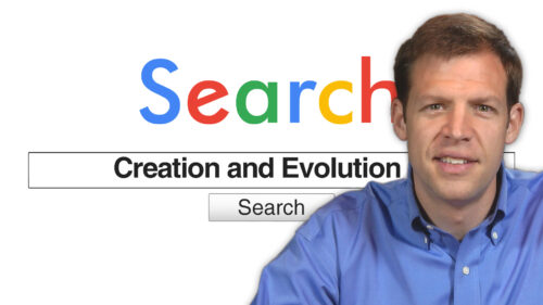 Search Creation and Evolution