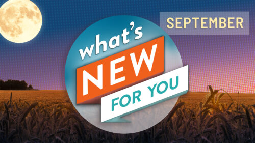 What's New for You