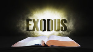 4. Exodus | Spotlight on the Word: Old Testament