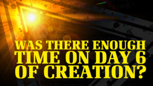 Was There Enough Time on Day 6 of Creation?