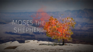 Part 2: Moses the Shepherd | The Story of Moses