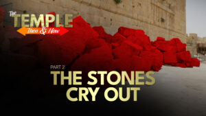 Part 2: The Stones Cry Out | The Temple: Then and Now