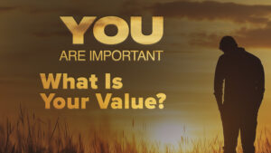 What Is Your Value?