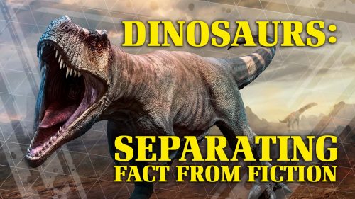Dinosaurs Separating Fact from Fiction
