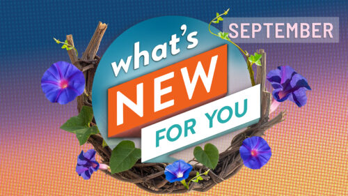 What's New for You