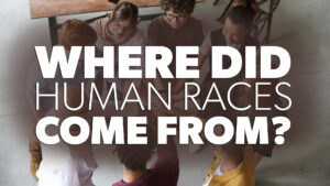 Where Did Human Races Come From?