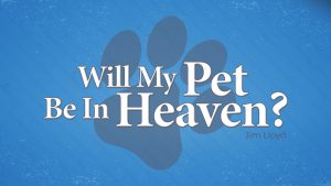 Will-My-Pet-Be-in-Heaven-Thumbnail