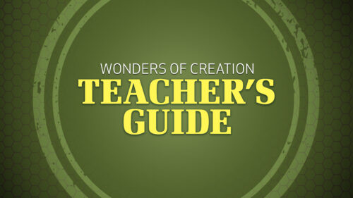 Teacher’s Guide | Wonders of Creation Classroom Series | WVBS Online Video