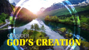 Wonders of Creation: Consider God's Creation