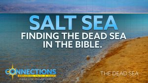 Salt Sea: Finding the Dead Sea in the Bible | BLP Connections: Dead Sea
