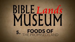 5. Foods of the Promised Land | Bible Lands Museum