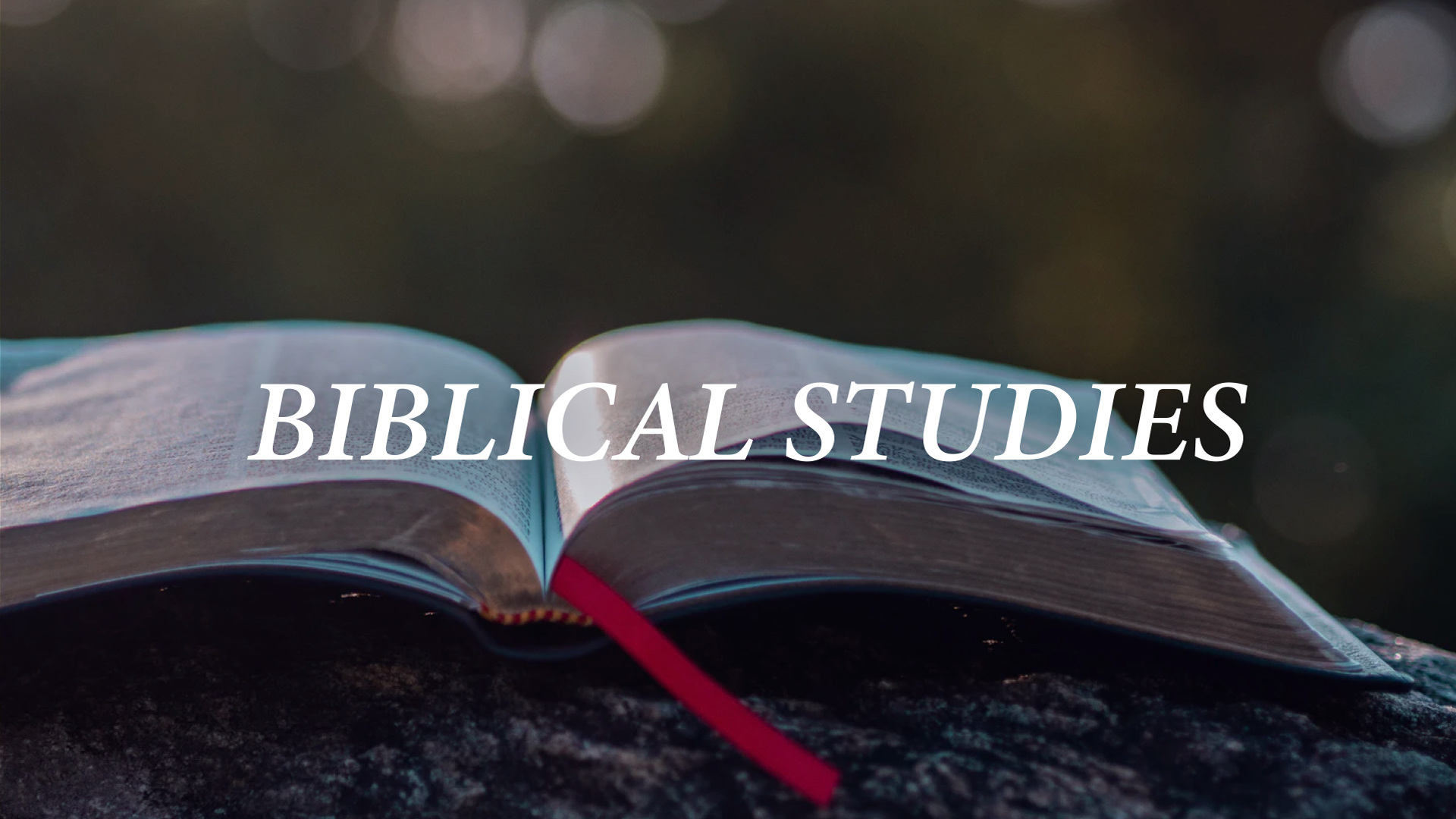 Category: Biblical Studies