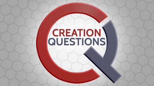 Creation Questions Program