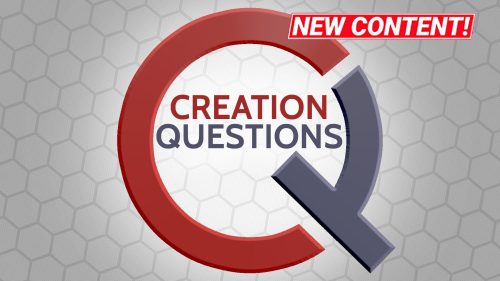 Creation Questions