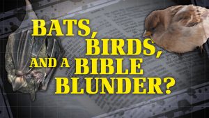 Bats, Birds, and a Bible Blunder? | Is the Bible Contradictory?