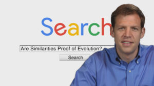 Are Similarities Proof of Evolution? | Search Creation and Evolution