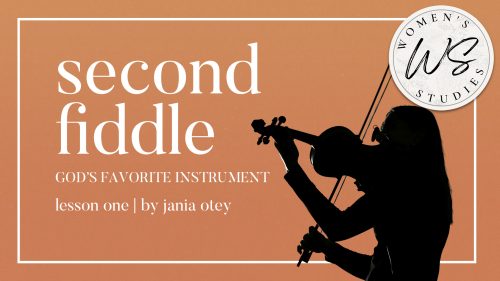 Second Fiddle | Lesson 1 | WVBS Online Video