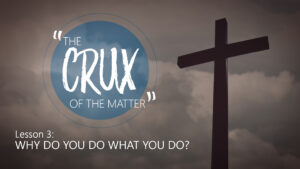 3. Why Do You Do What You Do? | The Crux of the Matter